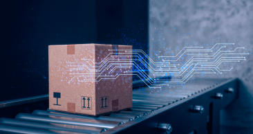 Emirates Post AI Parcel Segregation